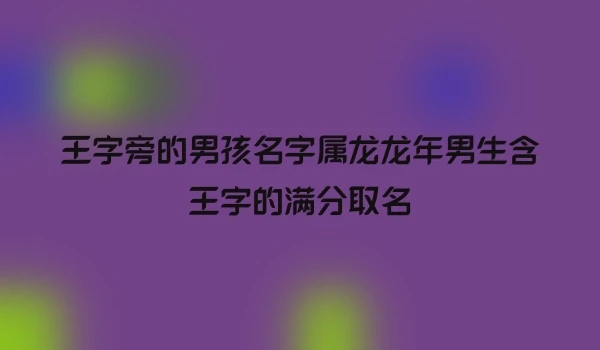 王字旁的男孩名字属龙龙年男生含王字的满分取名