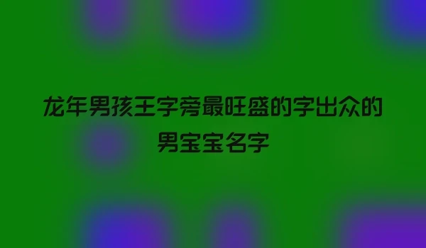 龙年男孩王字旁最旺盛的字出众的男宝宝名字