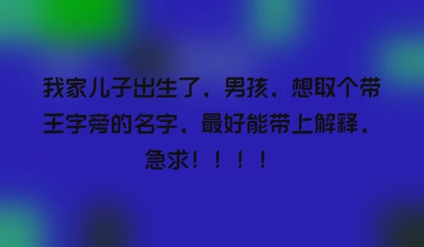 我家儿子出生了，男孩，想取个带王字旁的名字，最好能带上解释，急求！！！！