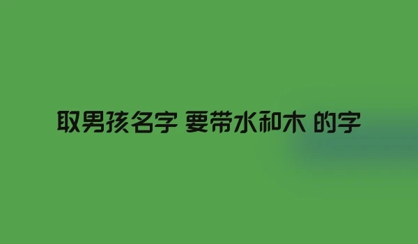 取男孩名字 要带水和木 的字