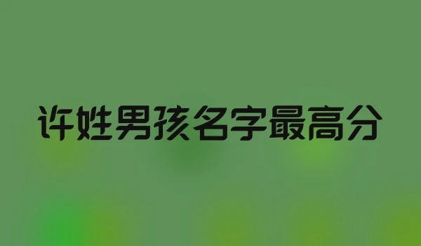 许姓男孩名字最高分