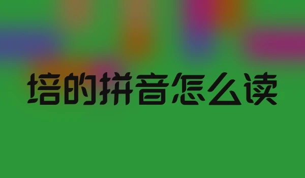 培的拼音怎么读