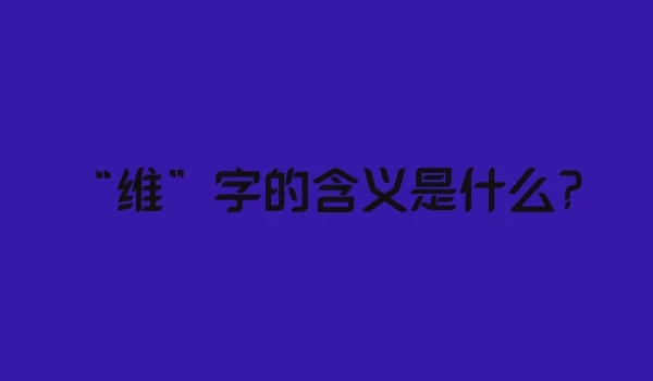 “维”字的含义是什么?