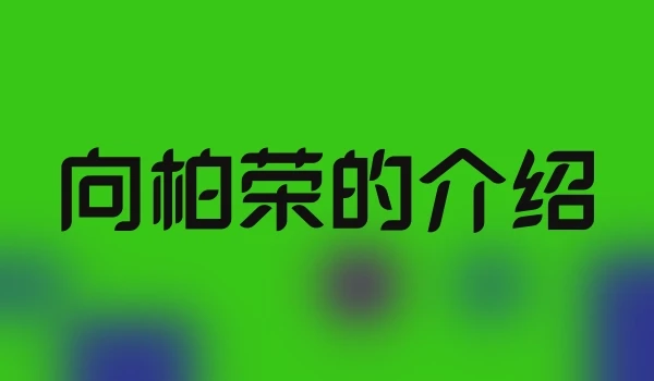 向柏荣的介绍