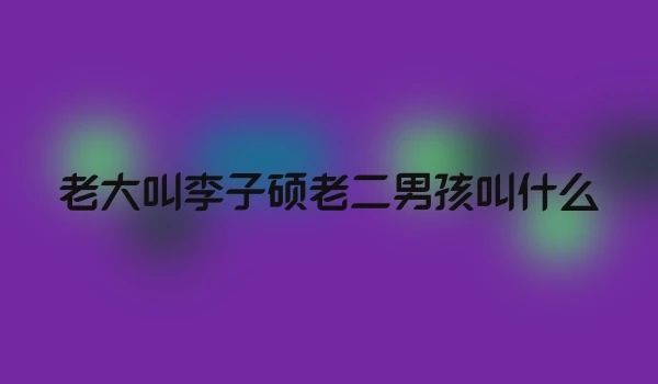 老大叫李子硕老二男孩叫什么