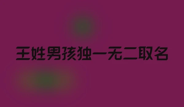 王姓男孩独一无二取名