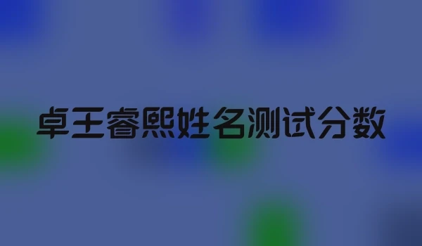 卓王睿熙姓名测试分数