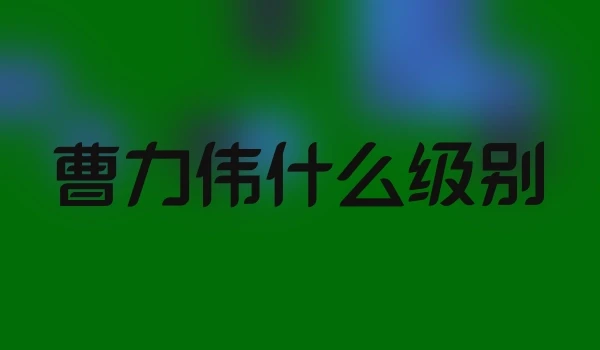 曹力伟什么级别