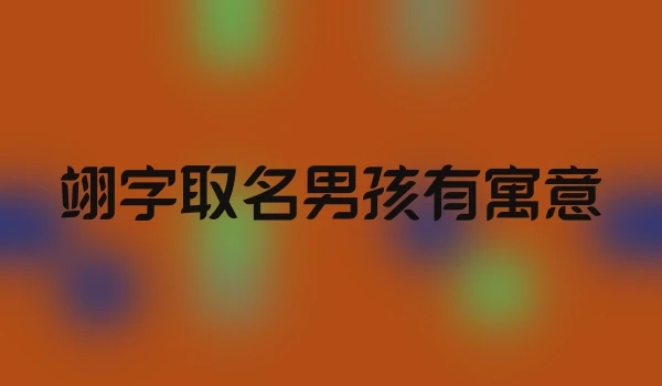 翊字取名男孩有寓意