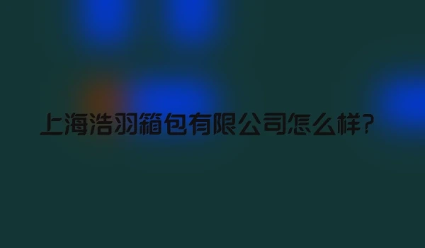 上海浩羽箱包有限公司怎么样？