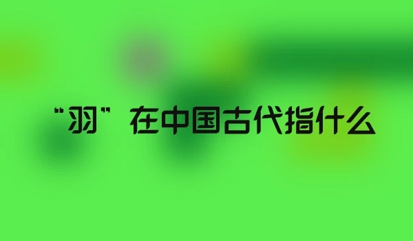 “羽”在中国古代指什么