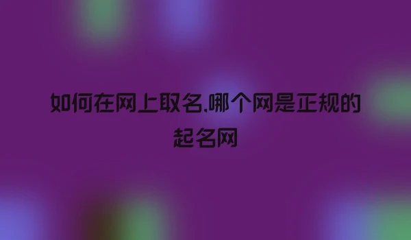 如何在网上取名,哪个网是正规的起名网