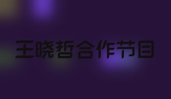 王晓哲合作节目