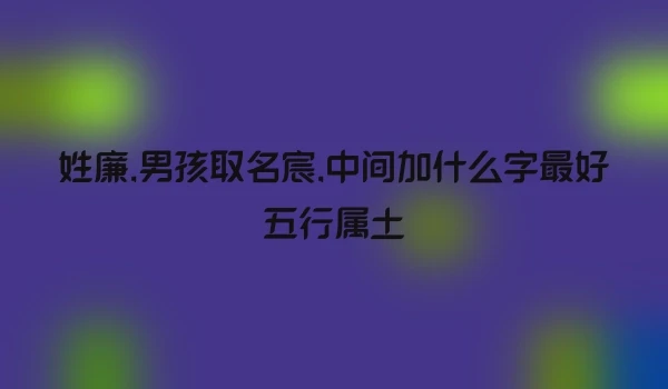 姓廉,男孩取名宸,中间加什么字最好五行属土