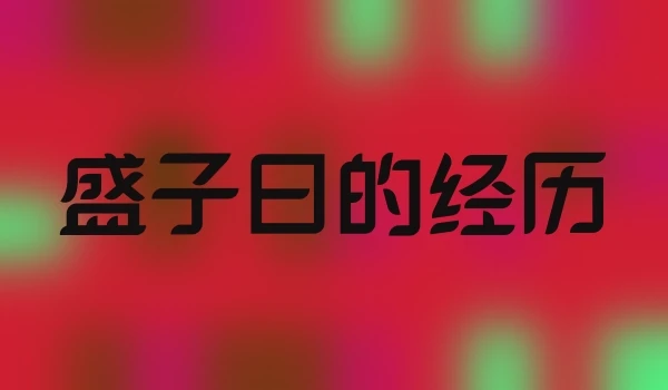 盛子曰的经历