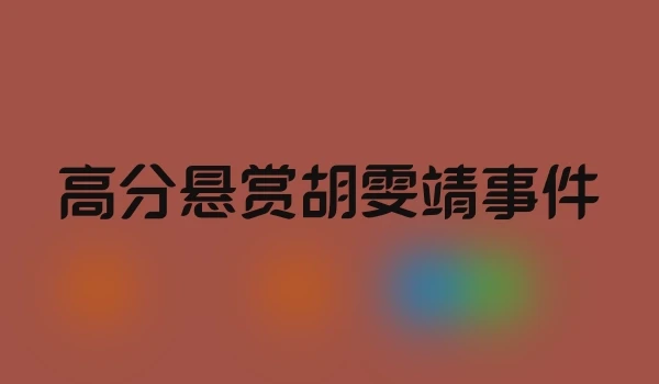 高分悬赏胡雯靖事件