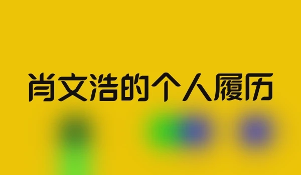 肖文浩的个人履历