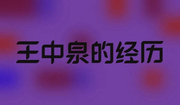 王中泉的经历