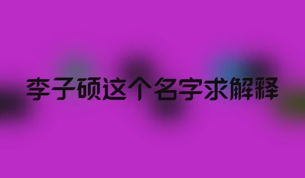 李子硕这个名字求解释