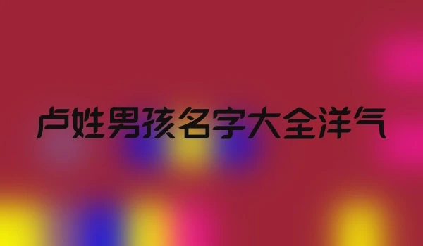 卢姓男孩名字大全洋气