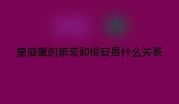 皇庭里的家蕊和保安是什么关系