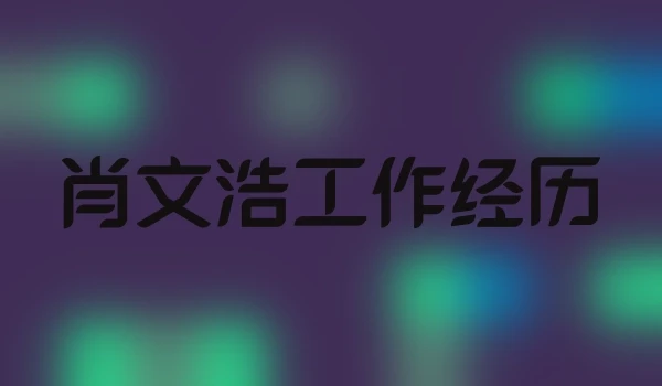 肖文浩工作经历