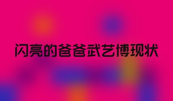 闪亮的爸爸武艺博现状