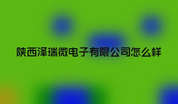 陕西泽瑞微电子有限公司怎么样