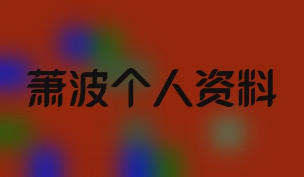 萧波个人资料