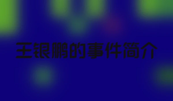 王银鹏的事件简介