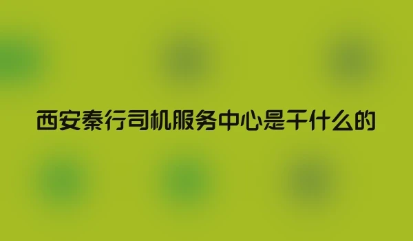西安秦行司机服务中心是干什么的