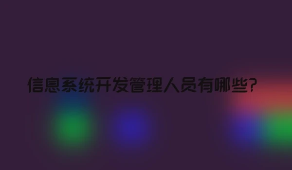 信息系统开发管理人员有哪些？