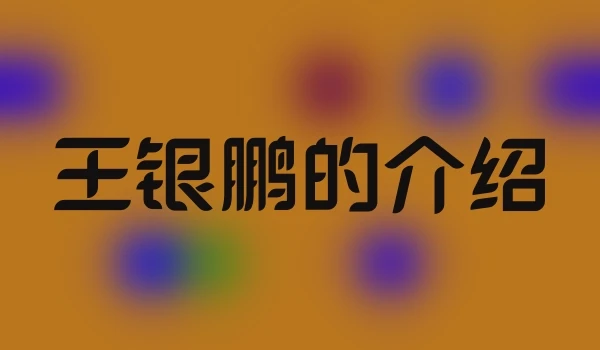 王银鹏的介绍