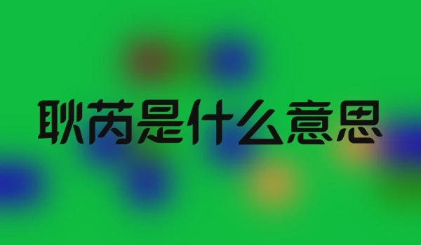 耿芮是什么意思