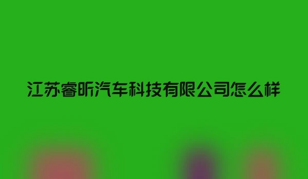 江苏睿昕汽车科技有限公司怎么样