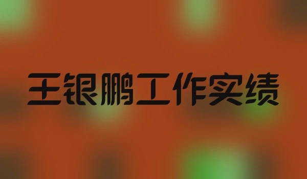 王银鹏工作实绩