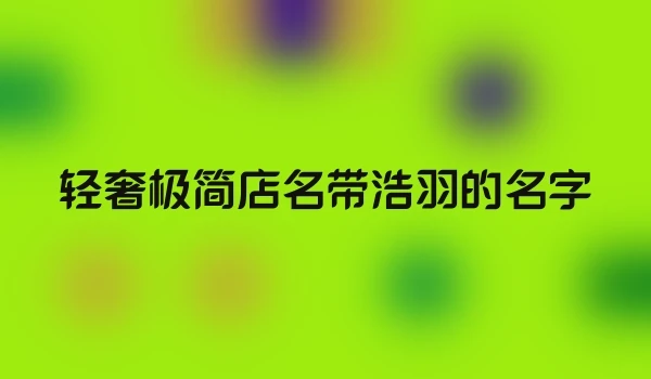 轻奢极简店名带浩羽的名字