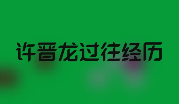 许晋龙过往经历
