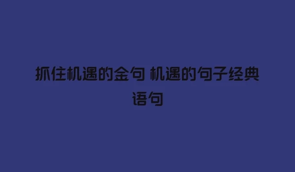 抓住机遇的金句 机遇的句子经典语句