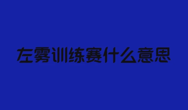 左雾训练赛什么意思