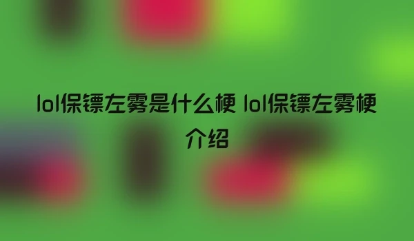 lol保镖左雾是什么梗 lol保镖左雾梗介绍