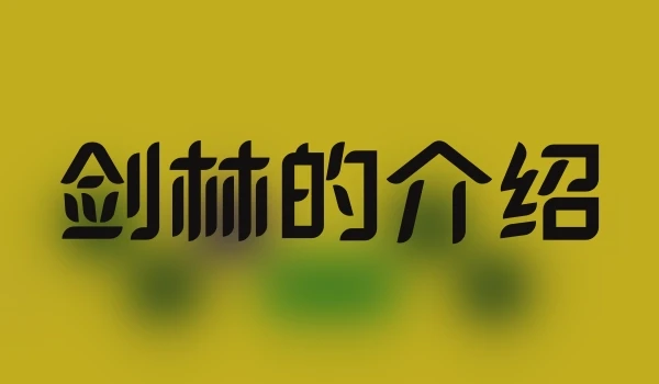 剑林的介绍
