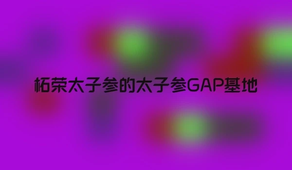 柘荣太子参的太子参GAP基地
