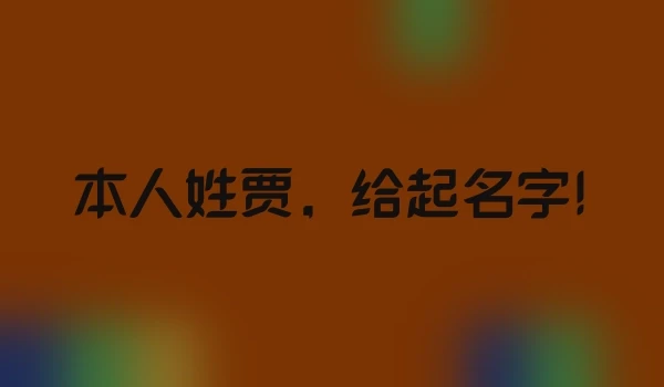 本人姓贾，给起名字!