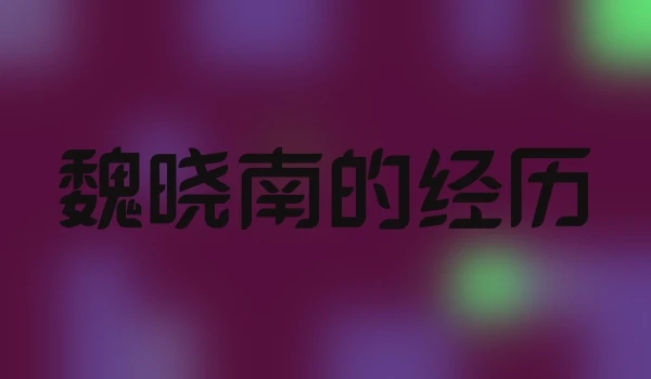 魏晓南的经历