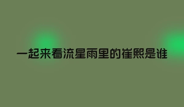 一起来看流星雨里的崔熙是谁