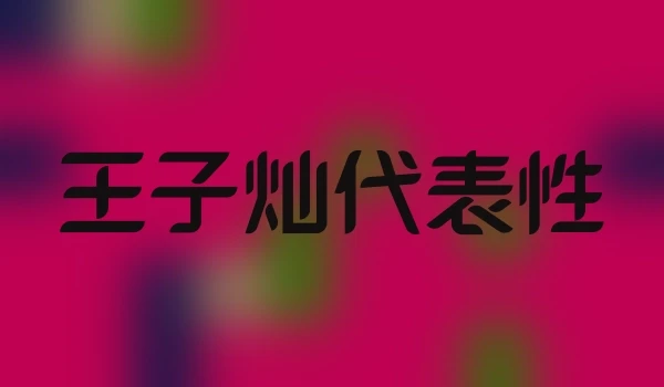 王子灿代表性