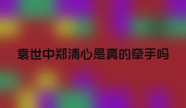 袁世中郑清心是真的牵手吗