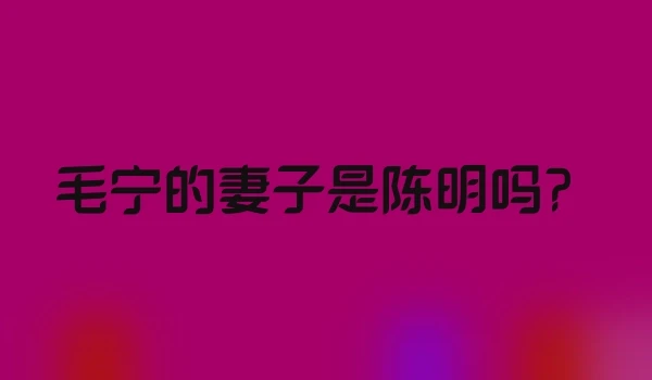 毛宁的妻子是陈明吗？