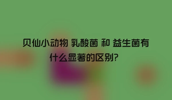 贝仙小动物 乳酸菌 和 益生菌有什么显著的区别？